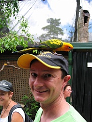 114 Birdworld Kurand